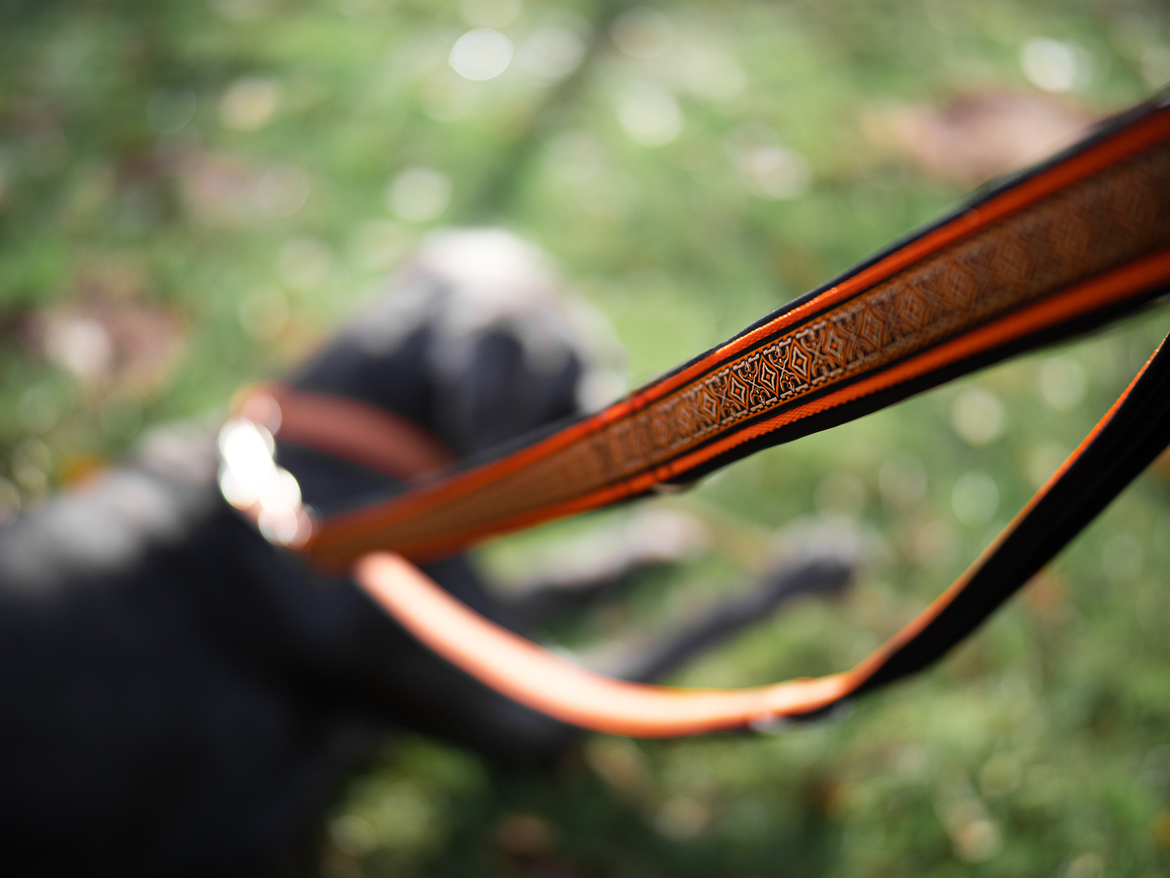 Halsband-Leinen Sets