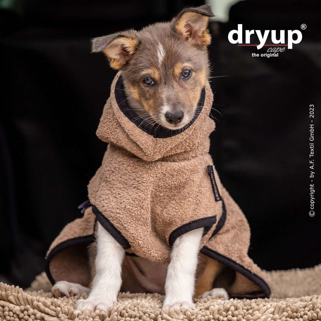 Hundebademantel in warmen Farben - Dryup Cape Mini