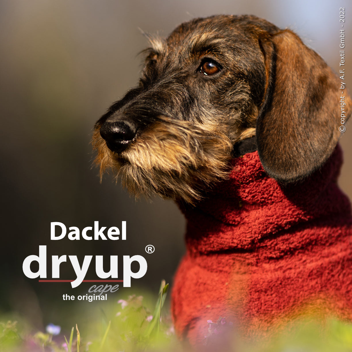 Hundebademantel - Dryup Cape Dackel