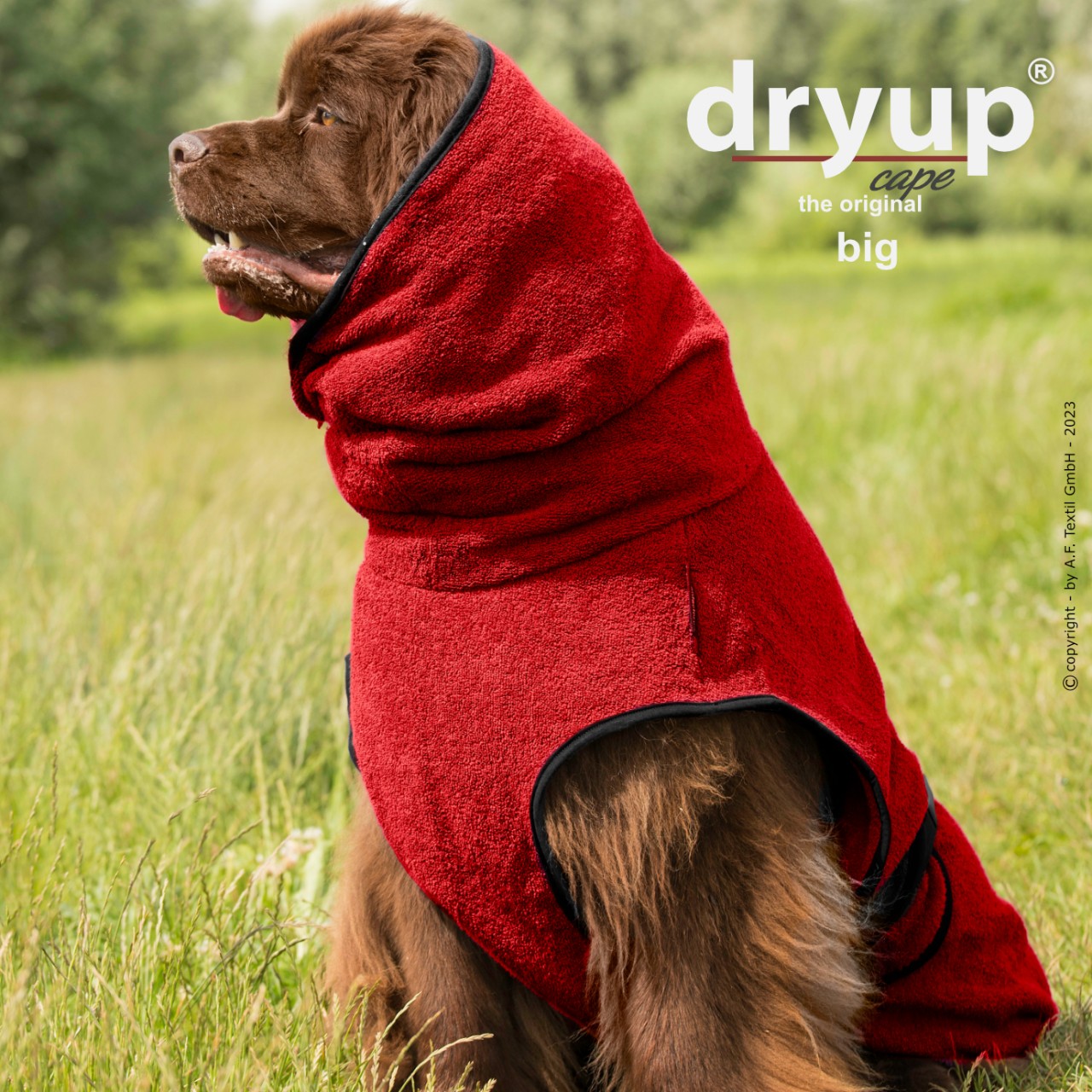 Hundebademantel - Dryup Cape Big