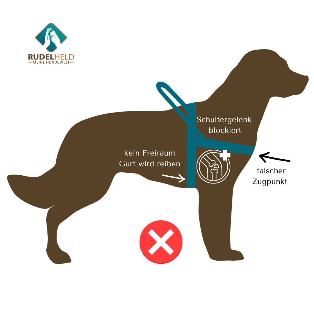 Infografik zum Norwegergeschirr