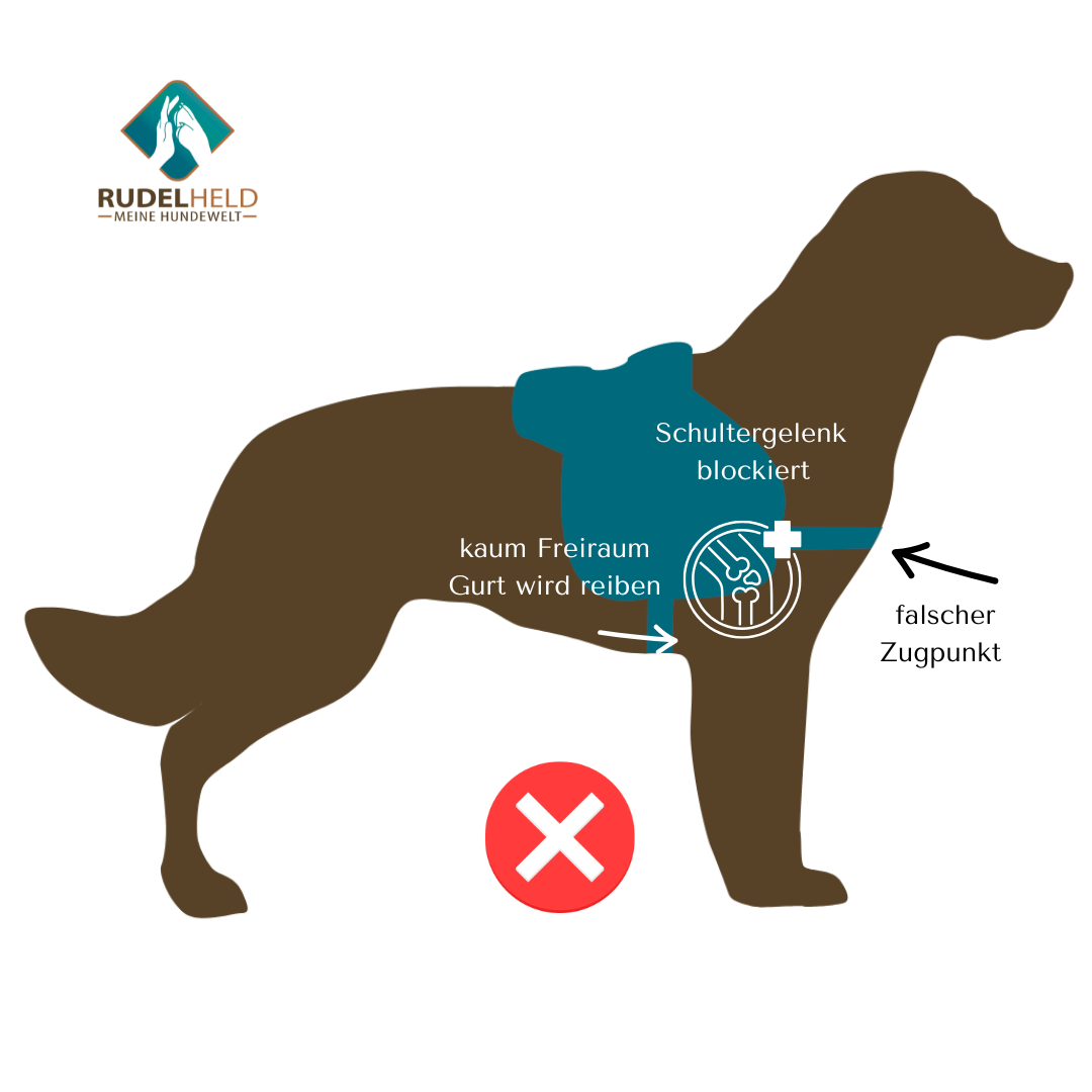 Infografik zum Sattelgeschirr