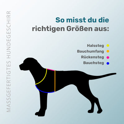 Maßgefertigtes Hundegeschirr | Schwarz & Azurblau