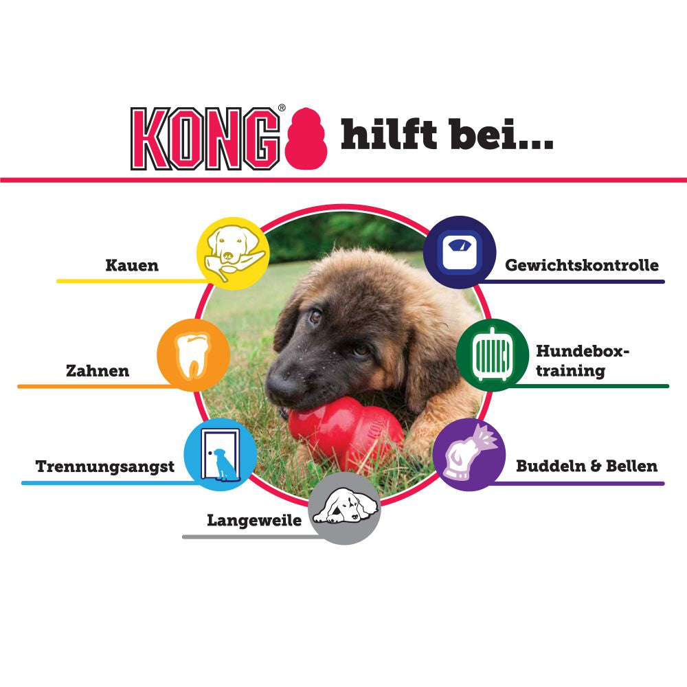 KONG Senior Hundespielzeug