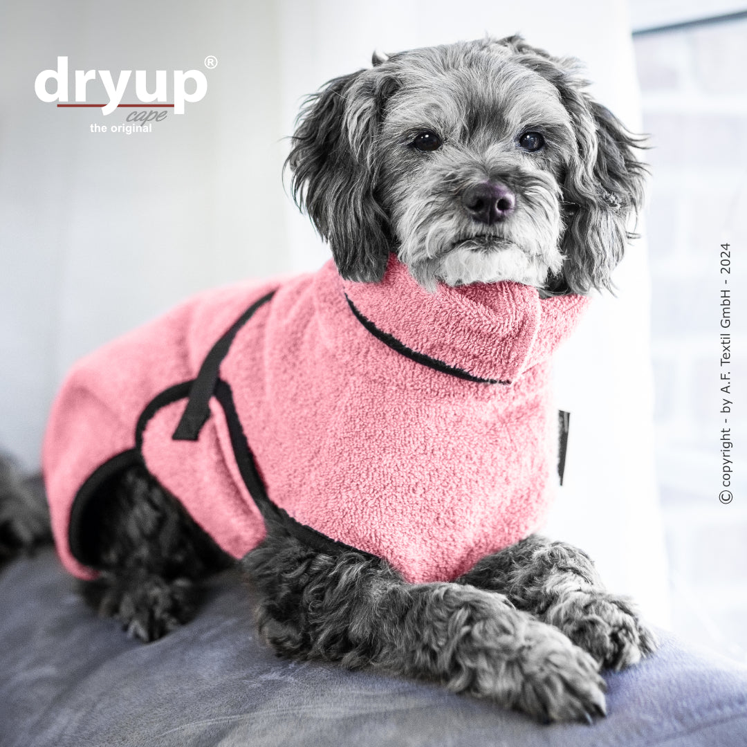 Hundebademantel in warmen Farben - Dryup Cape Mini