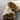 Puffed Cracker - Discovery Fashion
