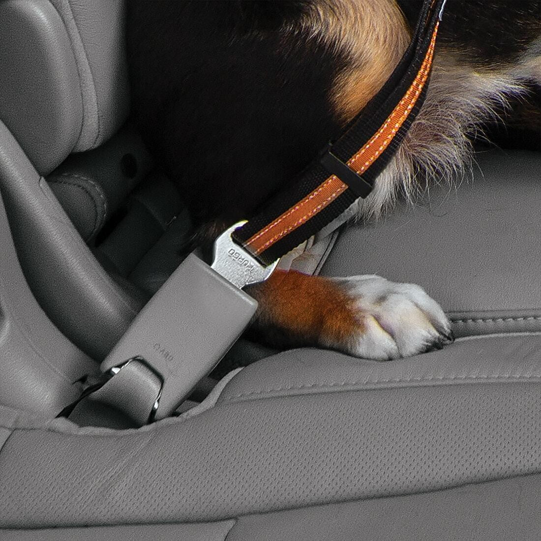 Direct to Seatbelt Swivel Tether - Discovery Fashion