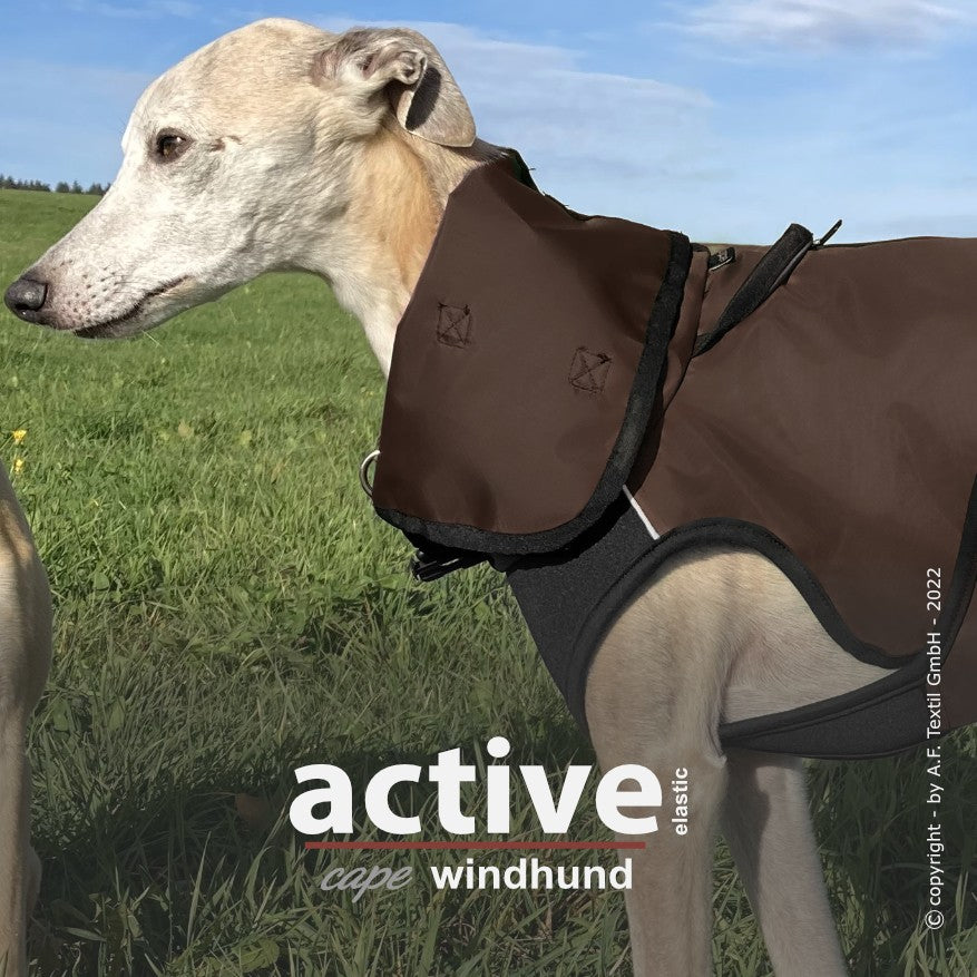 Active Cape Elastic Windhund