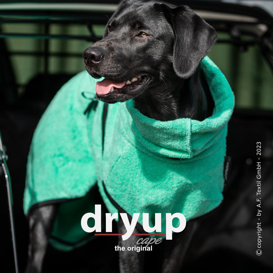 Hundebademantel in bunten Farben - Dryup Cape Standard