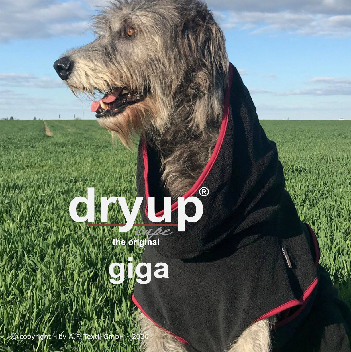 Dryup Cape Giga - Discovery Fashion