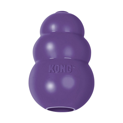 KONG Senior - Discovery Fashion