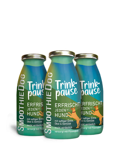 Smoothie Trinkpause - Discovery Fashion