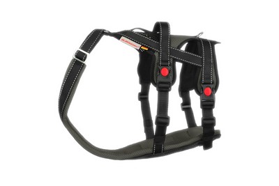 Open Range Harness - Discovery Fashion