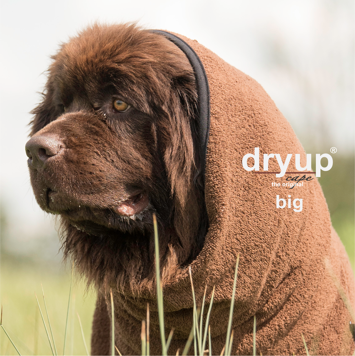 Dryup Cape Big - Discovery Fashion