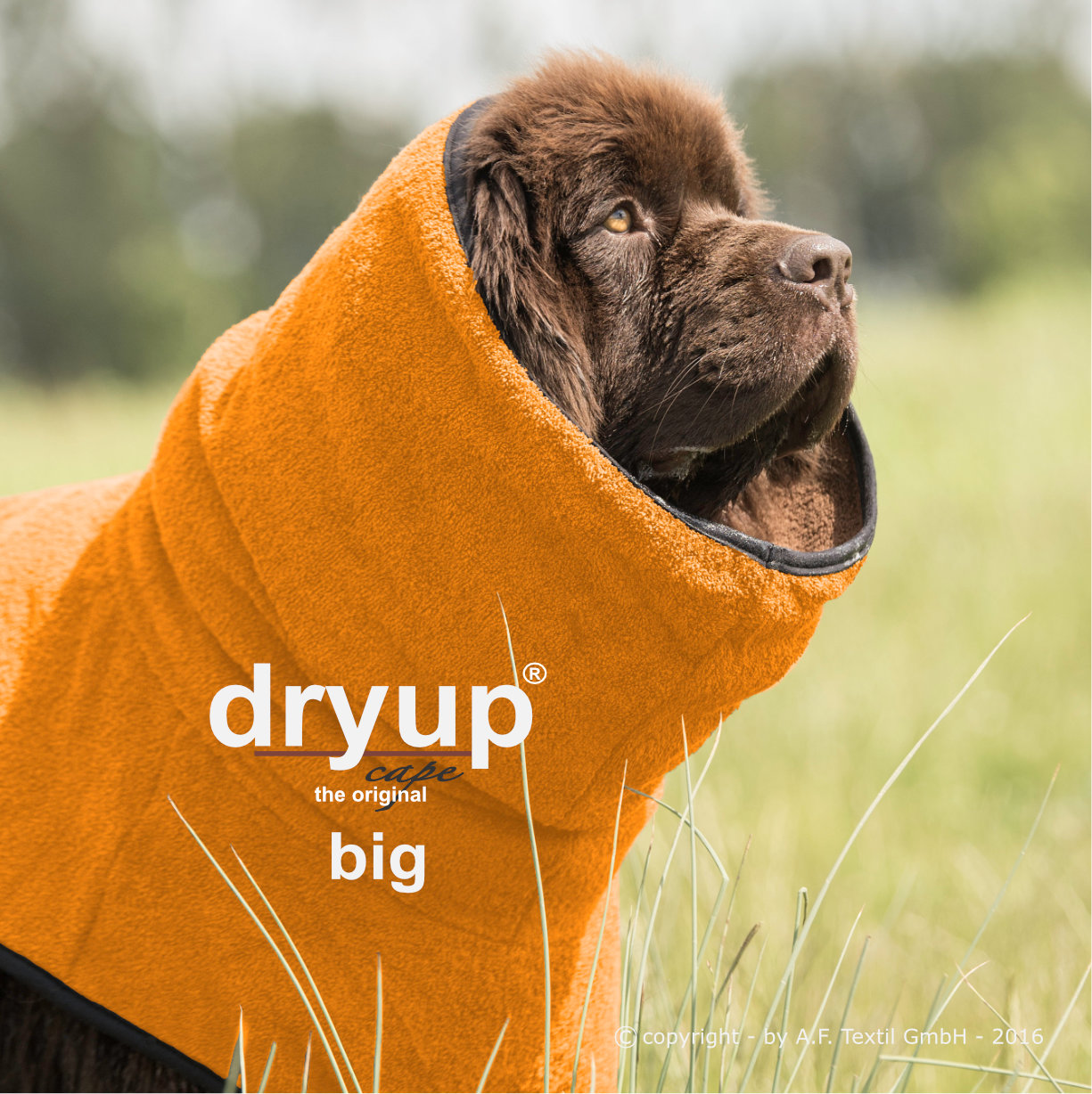 Dryup Cape Big - Discovery Fashion