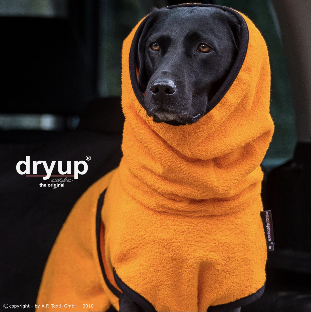Dryup Cape Standard - Discovery Fashion